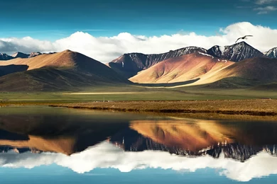 Ultra Wide Wallpapers.