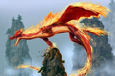 Full HD Dragon Wallpapers Splendid Wallpapers HD