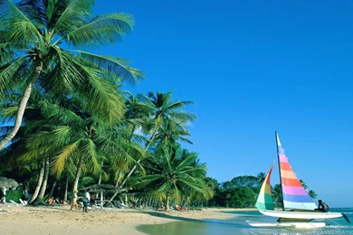 Totally Fabulous Barbados Wallpapers