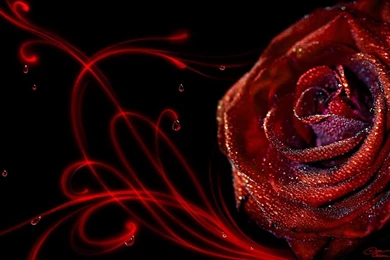 Passion Wallpapers Wallpapers Cave