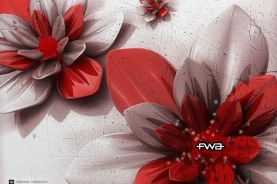 1280x1024 Fwa Passion Desktop PC And Mac Wallpapers