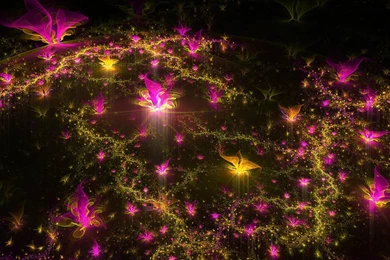 Pink Passion >> HD Wallpaper, Get It Now!