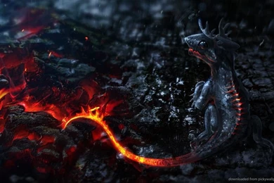 Download 1024x600 3D Lava Dragon Baby Wallpapers