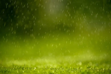 Rain Mac Wallpapers Download