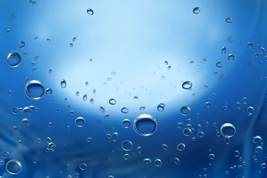 Water Drops Wallpapers