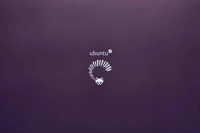Linux Ubuntu 13 04 Wallpaper HD.jpg