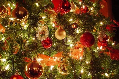 Download Wallpapers 1280x800 Christmas Tree, Christmas Decorations ...