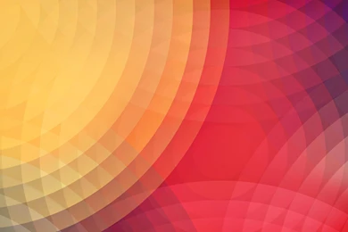 Jelly Bean Abstract Wallpapers 2560x1600 248636