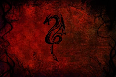 Download Wallpapers 2560x1600 Dragon, Pattern, Red, Black 2560x1600 ...