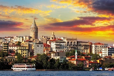 Cityscapes Tulips Turkey Hagia Sophia Istanbul Cities Mosques ...