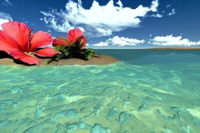 tropical beach screensavers free