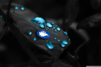 Xubuntu Blue Rain HD Desktop Wallpapers : Widescreen