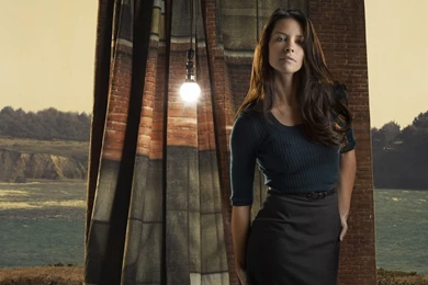 Evangeline Lilly Canadian Actress Background Wallpaper.jpg