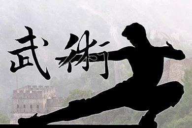 Kung Fu Wallpapers Wallpapers Cave