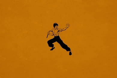 Bruce Lee Kung Fu Wallpapers 1680x1050 382799