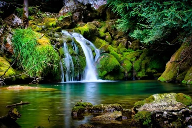 Wallpaper Screensaver 1 1.jpg