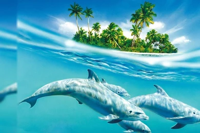 1920x1080 top 10 Computer wallpapers 549450491.jpg