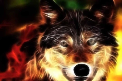 HD Wallpapers: 3d Computer Wallpapers