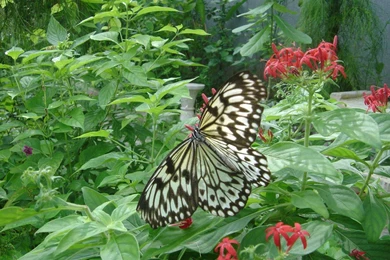 Most Used Wallpapers Wallpapers Cave