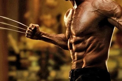 The Wolverine HD Wallpapers IHD Wallpapers