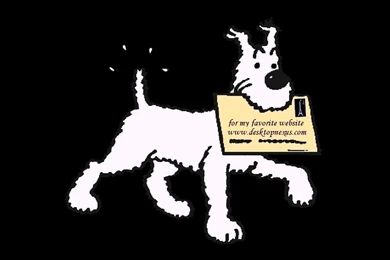 Tintin Asterix BD Wallpapers (20099525) Fanpop