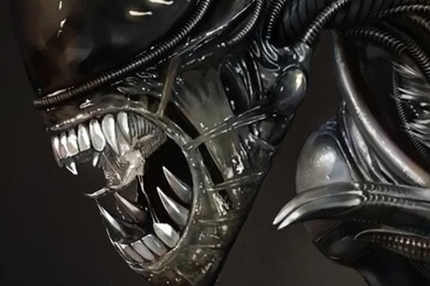 Alien 電腦桌布, 桌面背景