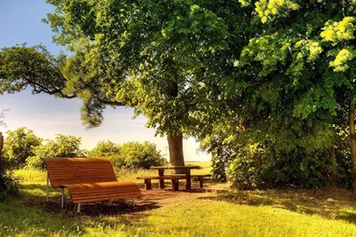 A Sunny Day Hd Wallpapers ImgMob