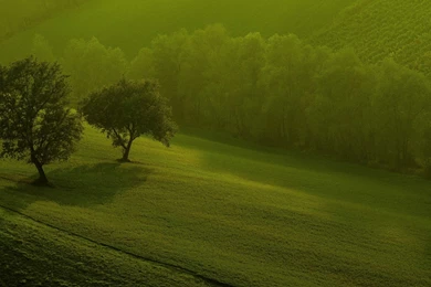 3d nature wallpaper for windows 8 hd pictures.jpg