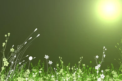 Free Wallpapers For My Phone HD Wallpapers Lovely