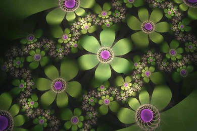 Flowers Wallpapers Free Download For Desktop All Wallpapers New