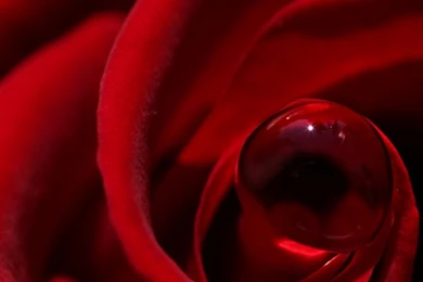 Free Screensavers And Wallpapers KScreensavers.com