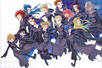 Organization Xiii (