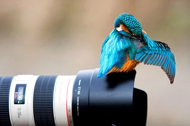 YOU NEVER TAKE A PHOTOGRAPH YOU HAVE TO MAKE IT CatchTheYe