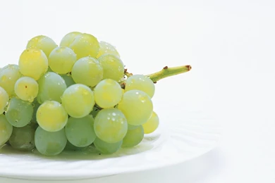 Free Wallpapers Free Photography Wallpapers Stock Photographs Of ...