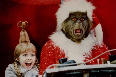 The Grinch How The Grinch Stole Christmas Wallpapers (33148434 ...