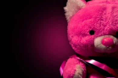 Cute Teddy Bear Wallpapers Wallpapers Cave