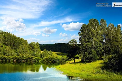 Beautiful Summer Scenery Photo 388 Of 413