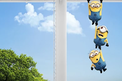Minions Despicable Me Wallpapers
