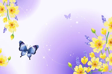 Flowers, Background, Wedding, Butterfly Image Wallpapers
