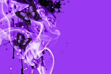 Butterfly Wallpaper Backgrounds HD Wallpapers Pretty