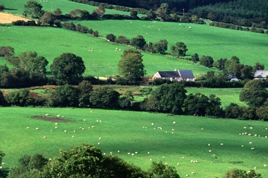 County Cork Ireland, Fields, 1920x1080 HD Wallpapers And FREE Stock ...
