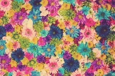 Oh My Dior On Pinterest