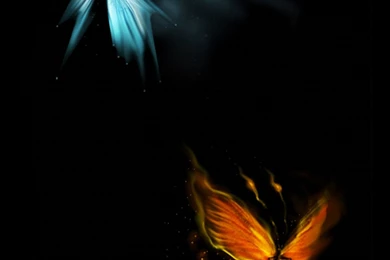 Butterfly Wallpapers For Android Newwallpapershits.com