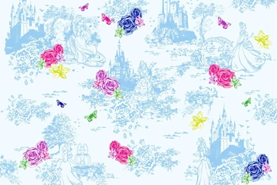Disney Princesses Wallpapers Disney Princess Wallpapers (37201416 ...