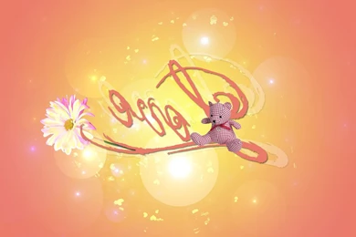 Animal Wallpapers, Cool Pets, Animal Planet, Free Wallpapers ...