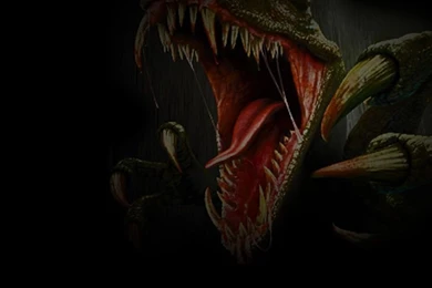 Wild Animal Wallpapers, Animal Kingdom, Cool Pets, Free Wallpapers ...