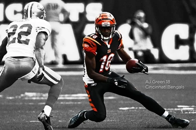 Desktop Wallpapers Cincinnati Bengals