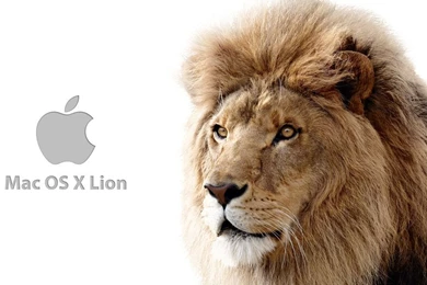 Mac OS X Lion Wallpapers 3 By Almanimation On DeviantArt