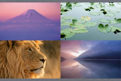 Download Mac OS X Lion DP3 Wallpapers On CrystalXP.net Wallpapers