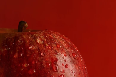 Best Red Apple Macro Wallpapers High Definition